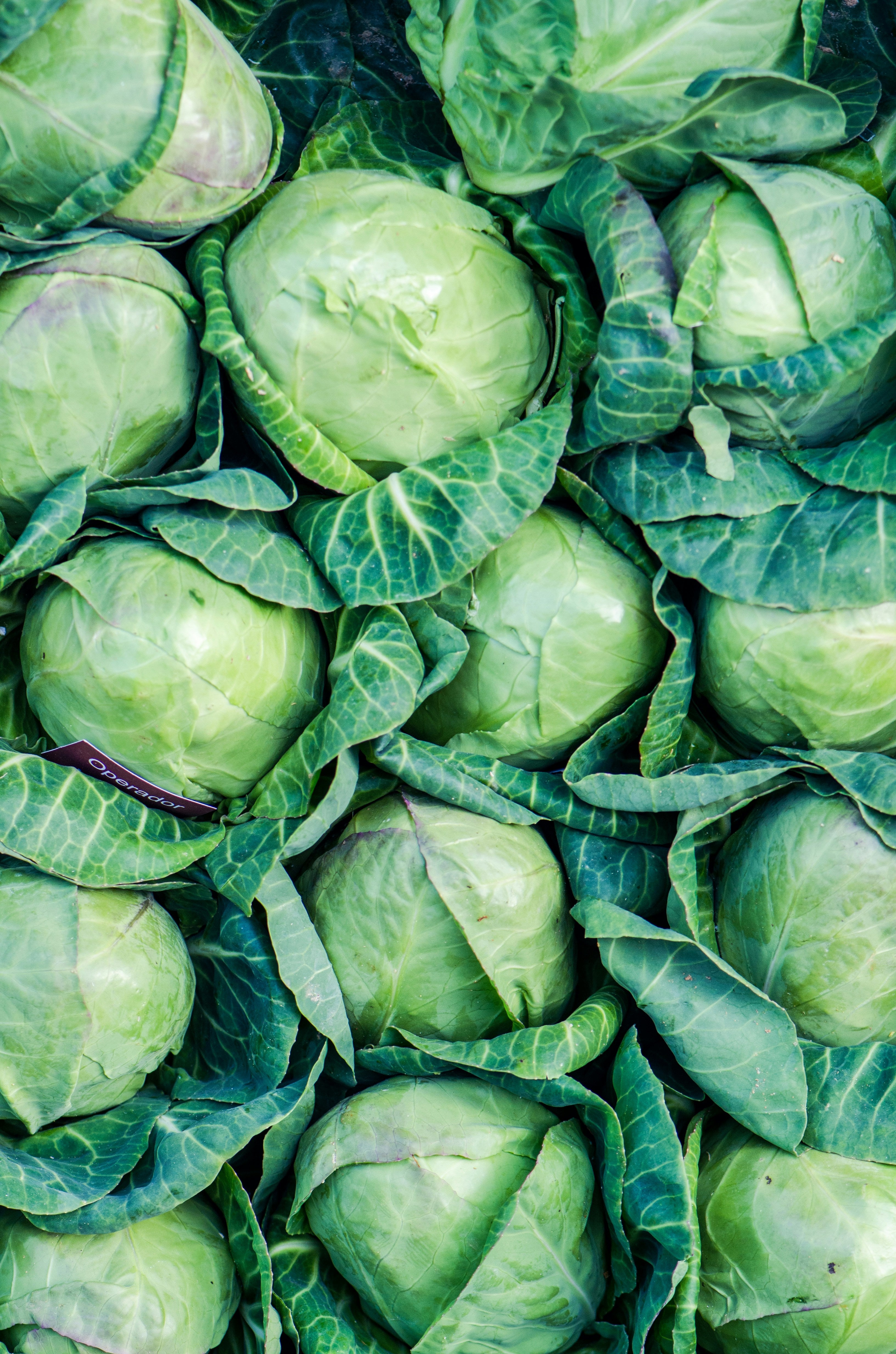 20 Minute Cabbage Recipe