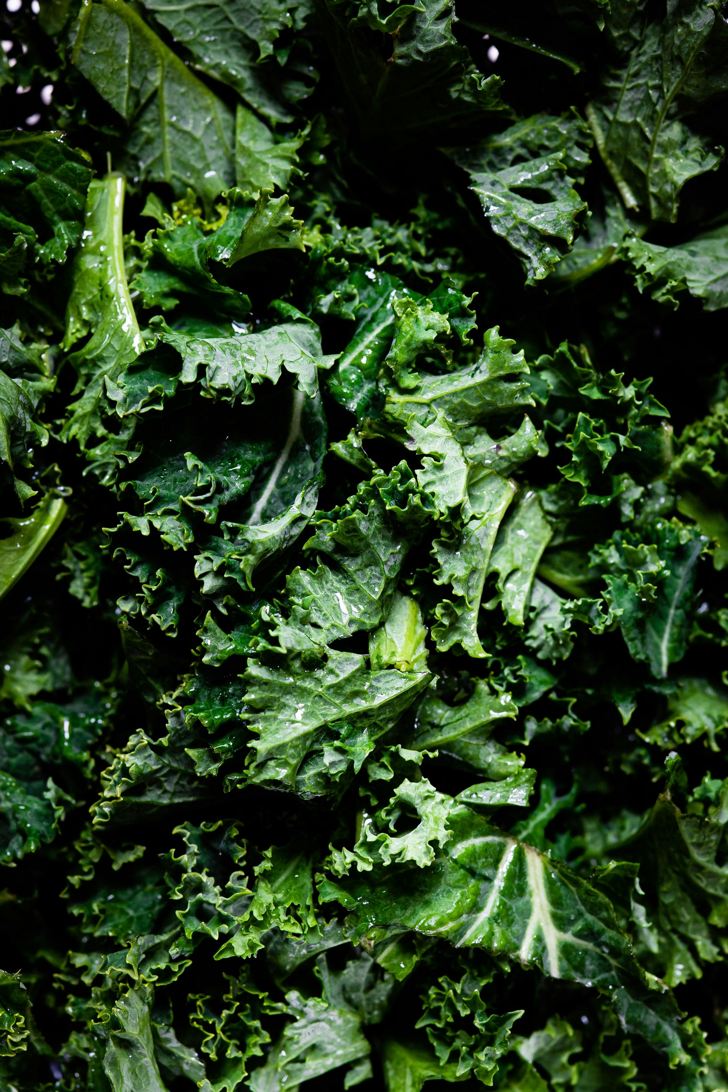 A Love Letter to My Favorite Kale Salad