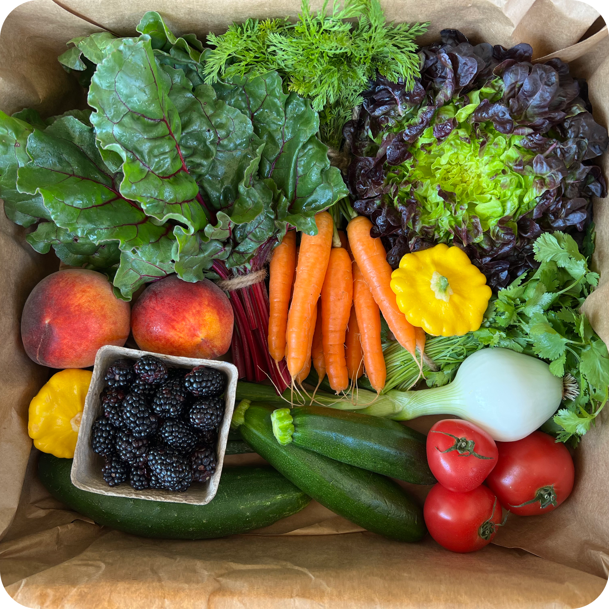 Seasonal Essential Box - Vegan